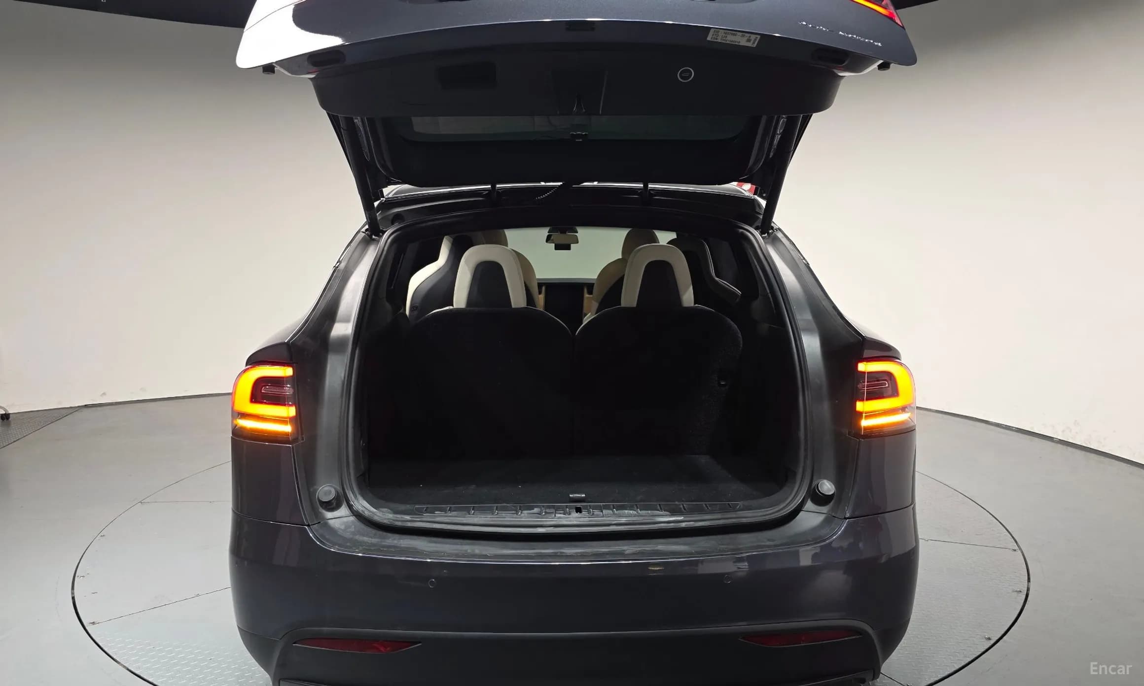 Model X