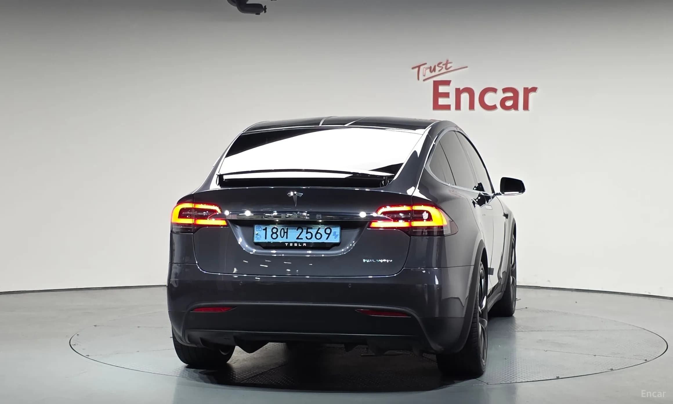 Model X