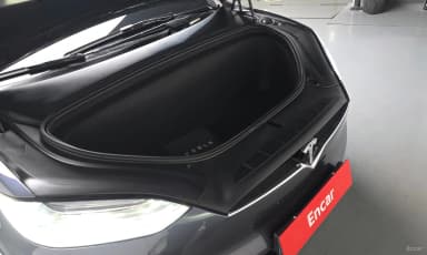 Model X
