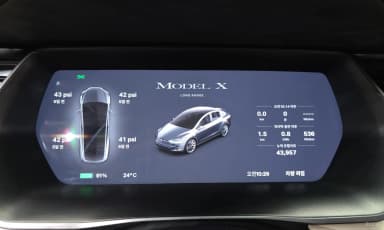 Model X