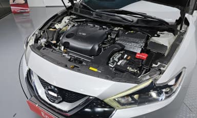 Maxima (A36)