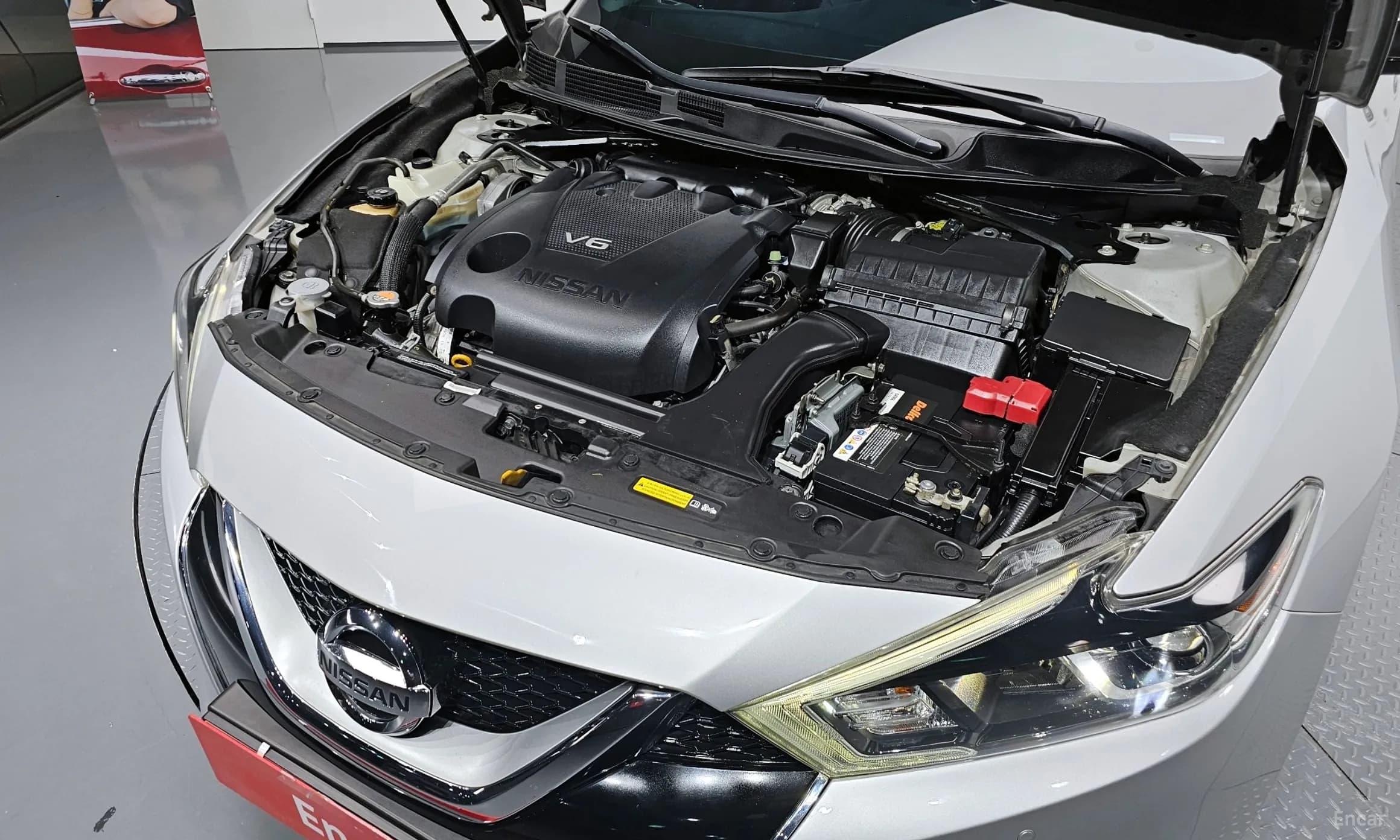 Maxima (A36)