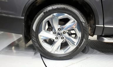 Rexton Sports