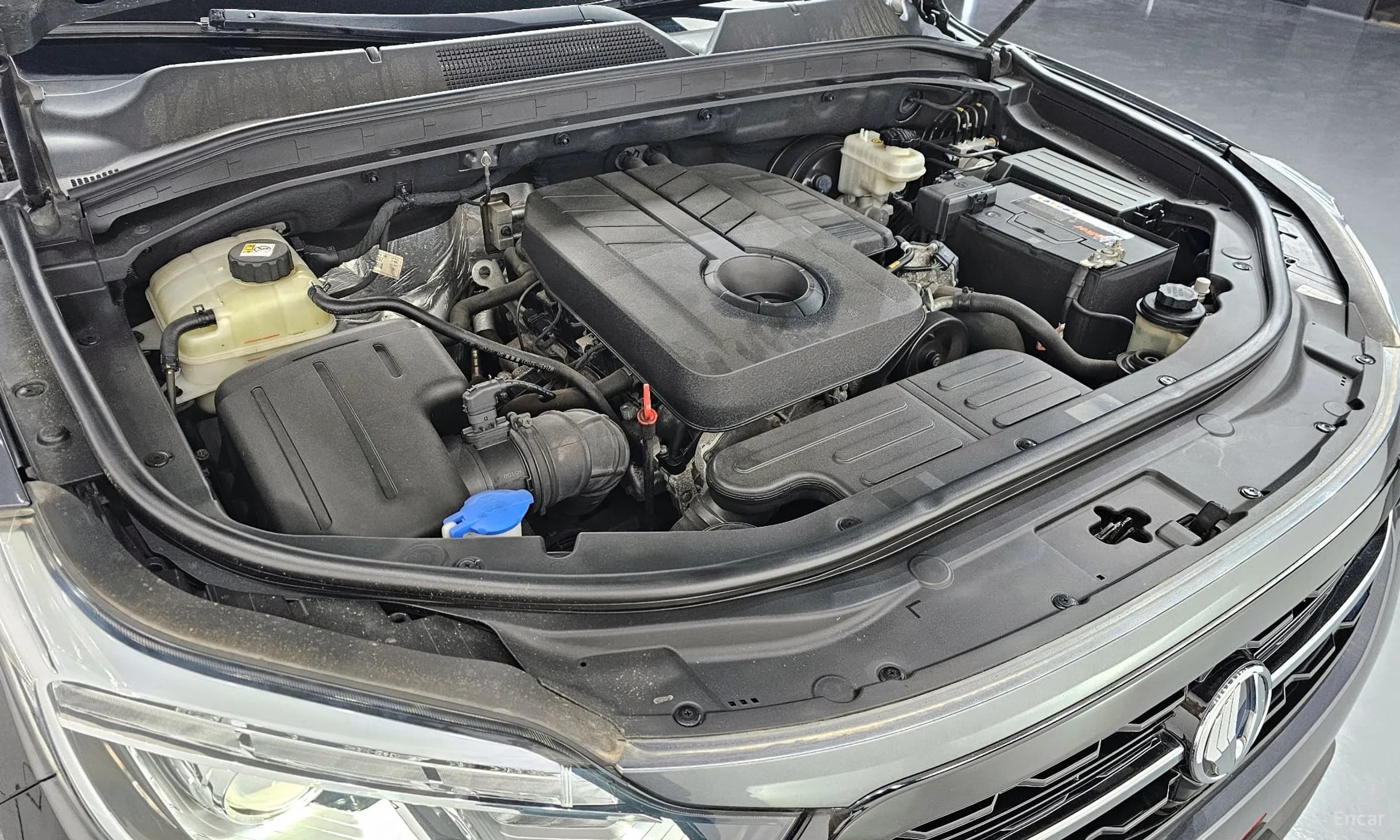 Rexton Sports