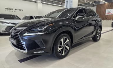 NX300h