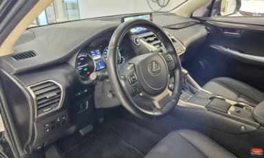 NX300h