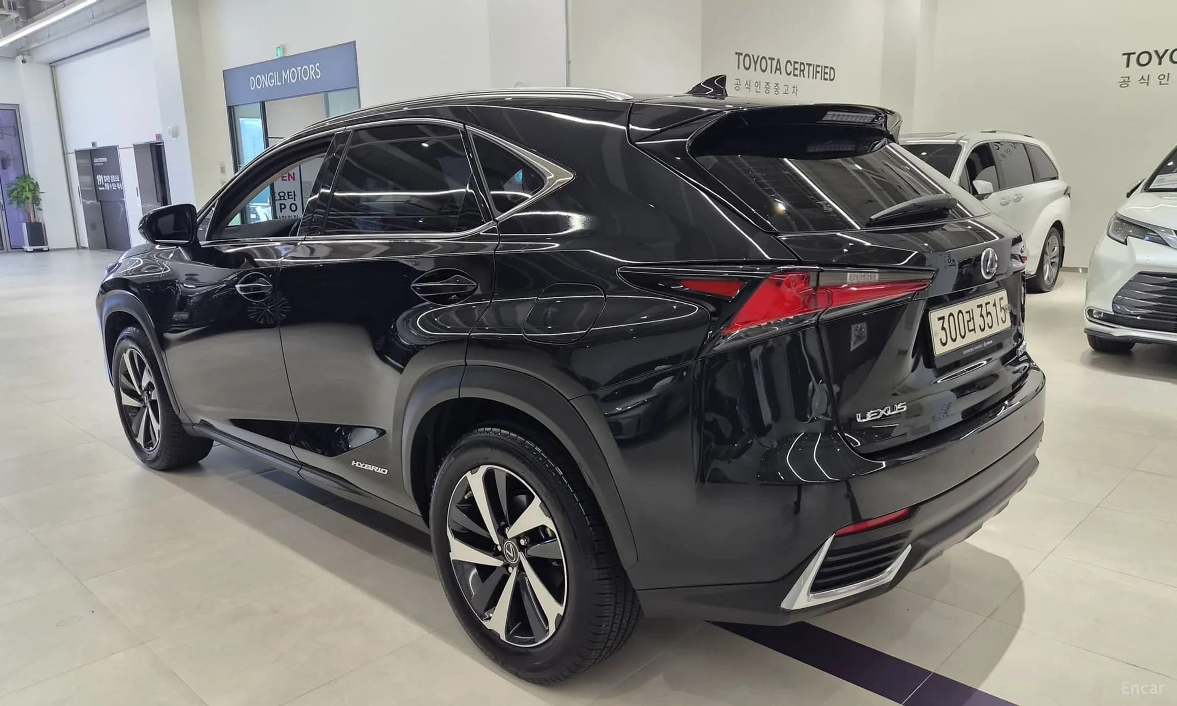 NX300h
