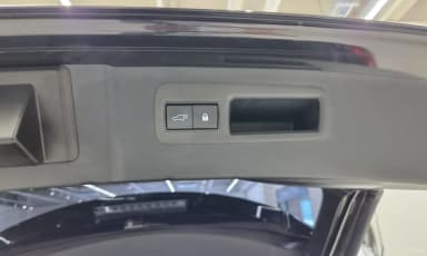 NX300h