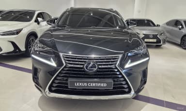 NX300h
