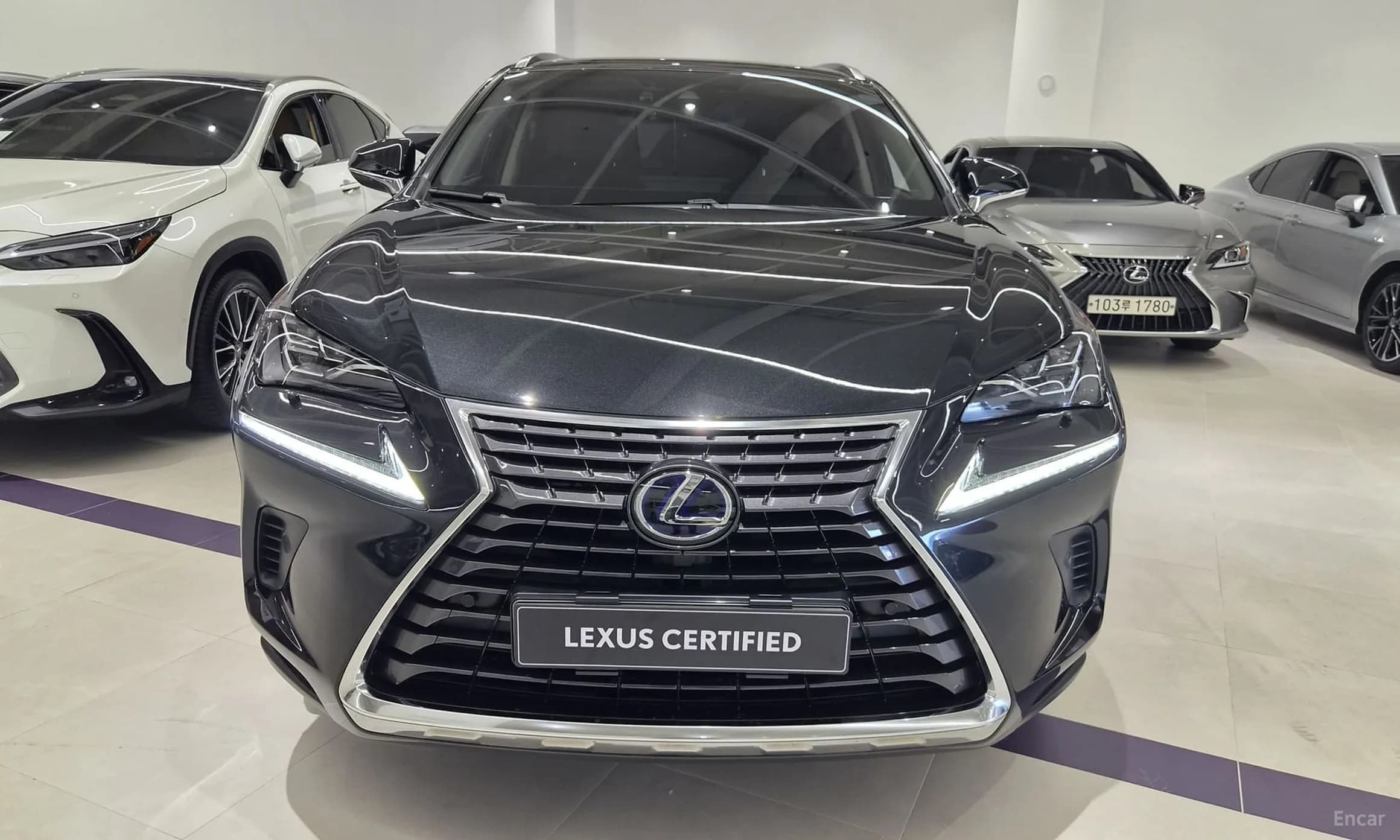 NX300h