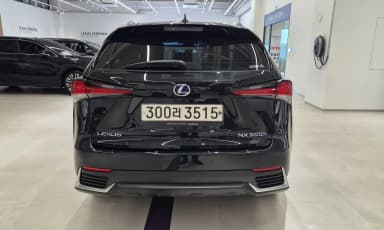NX300h