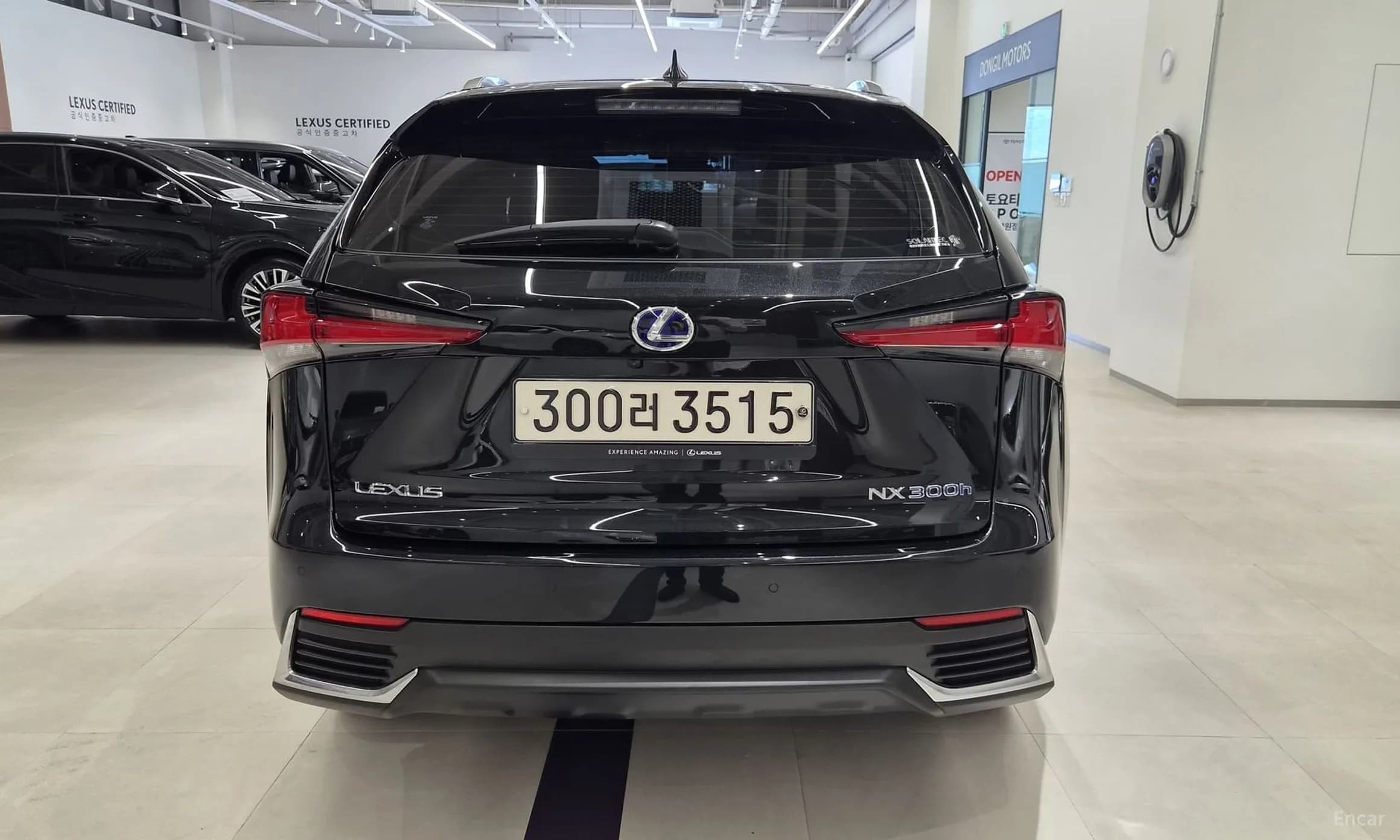 NX300h