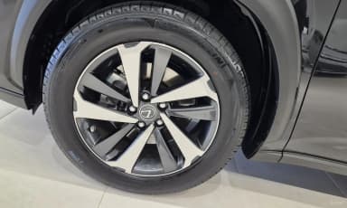 NX300h