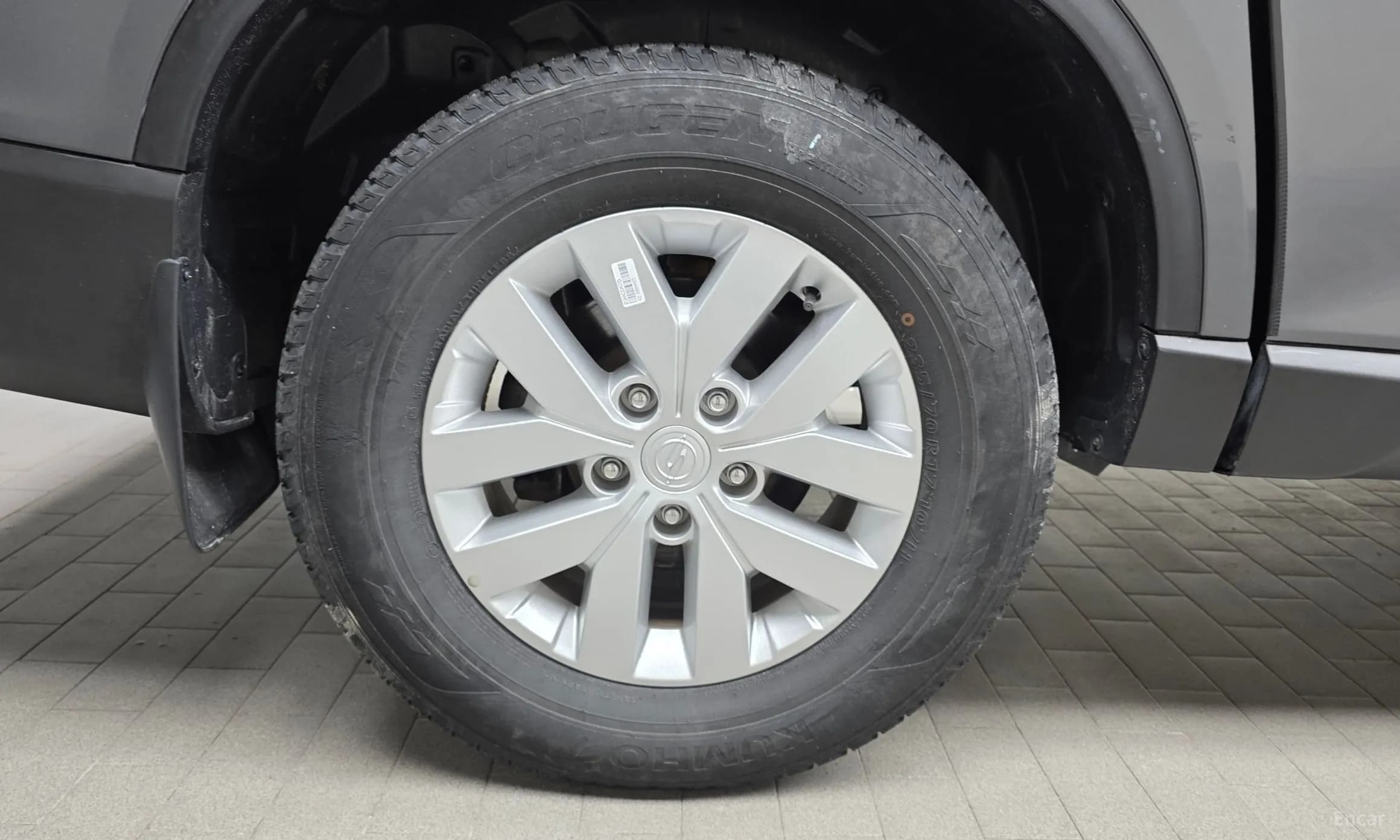 Rexton Sports