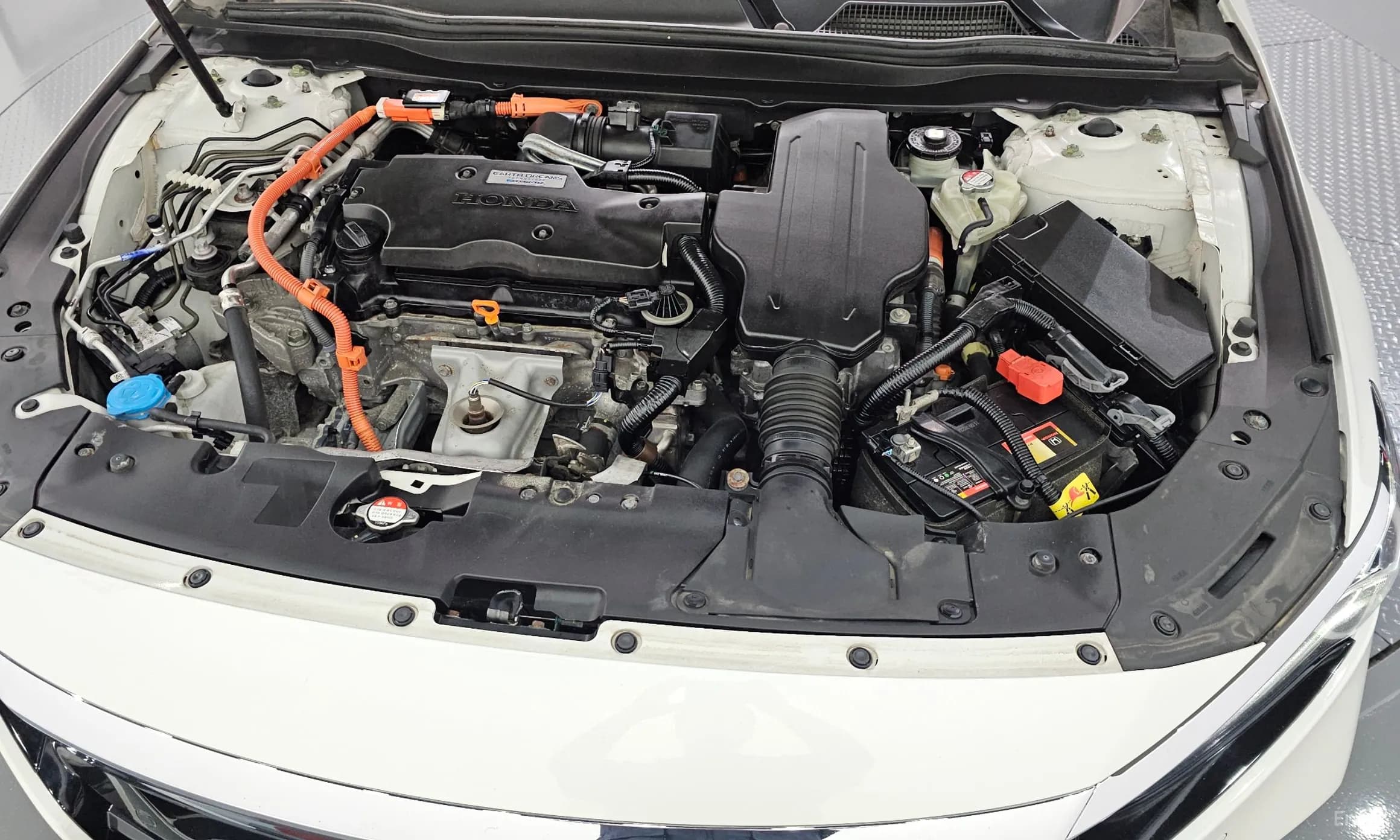 Accord 10th Generation