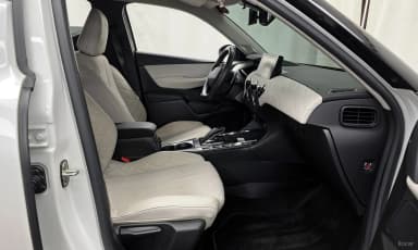 DS3 Cross Bag