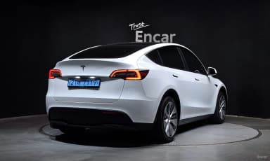 Model Y