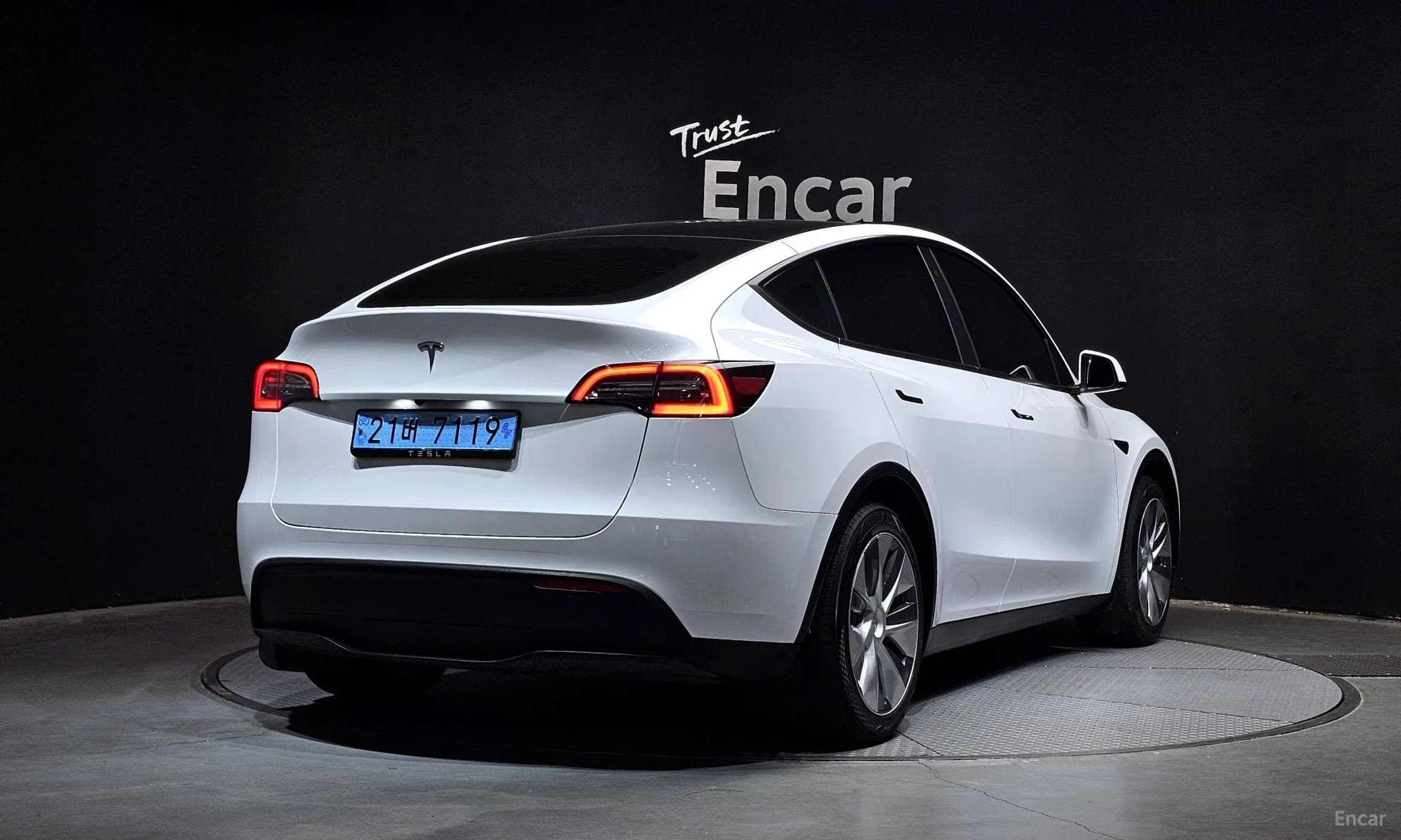 Model Y