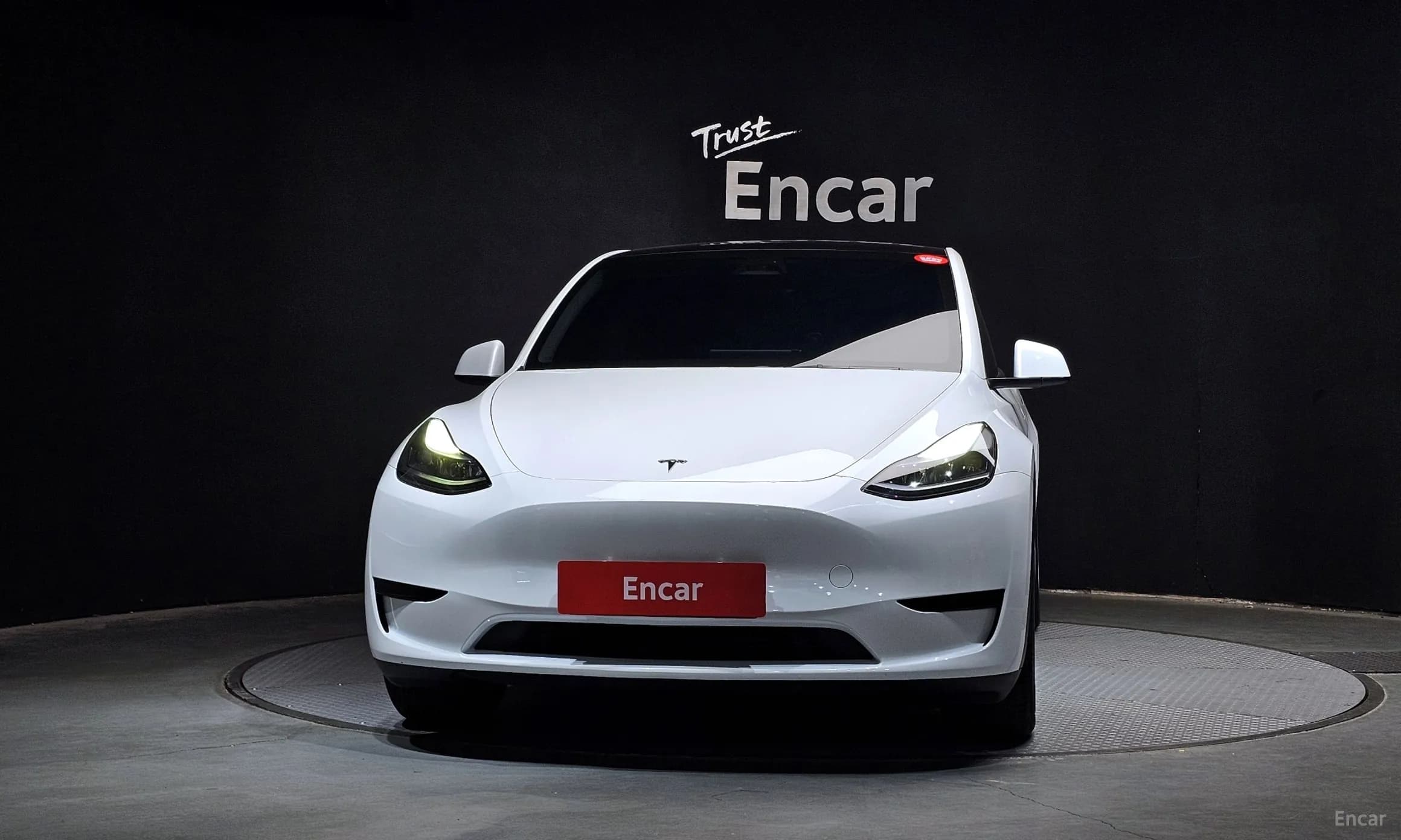 Model Y