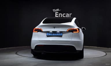 Model Y