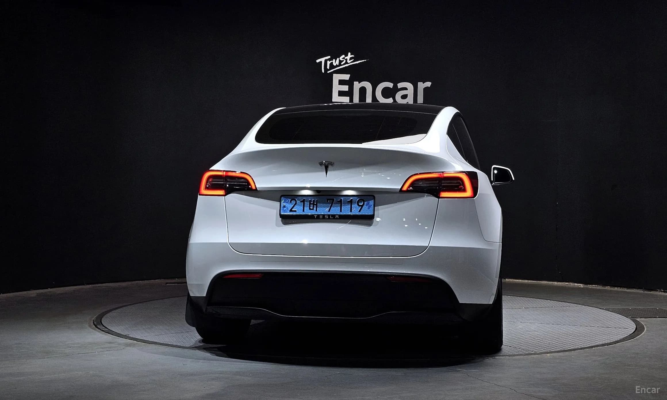 Model Y