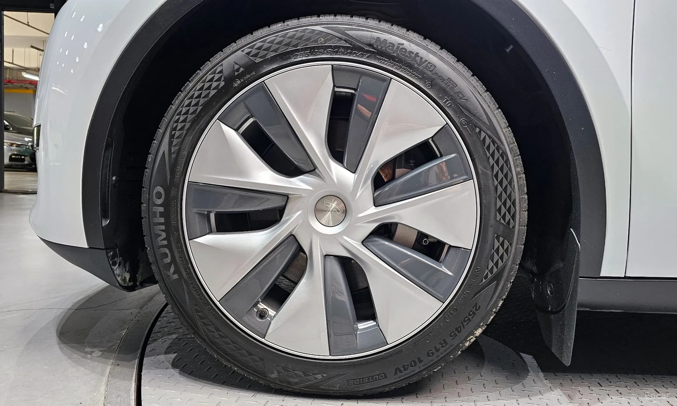 Model Y