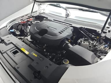 Defender (L663)