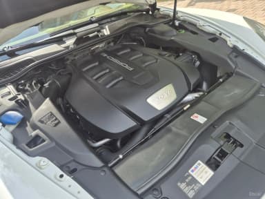 New Cayenne