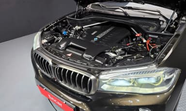 X6 (F16)