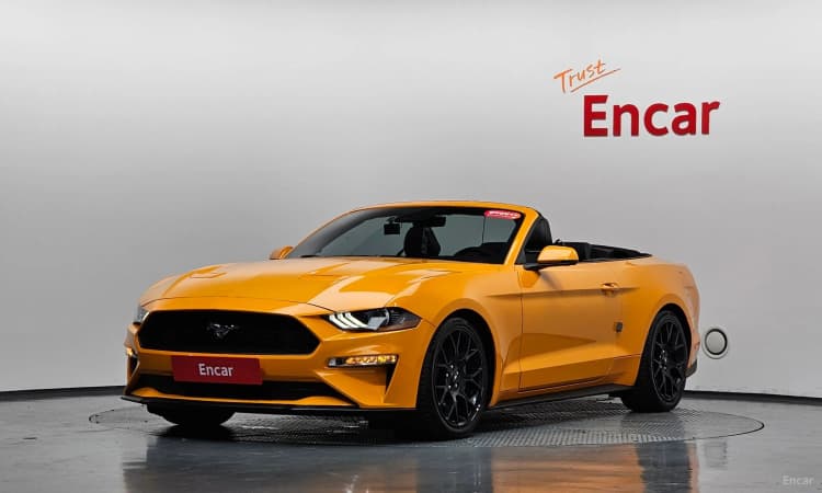 Mustang