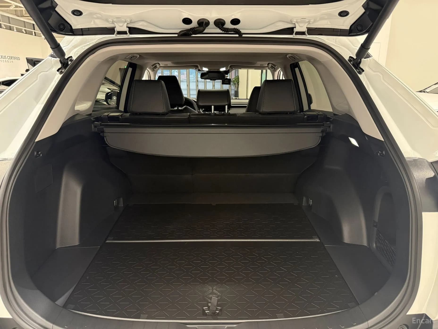 RAV4 5th Generation