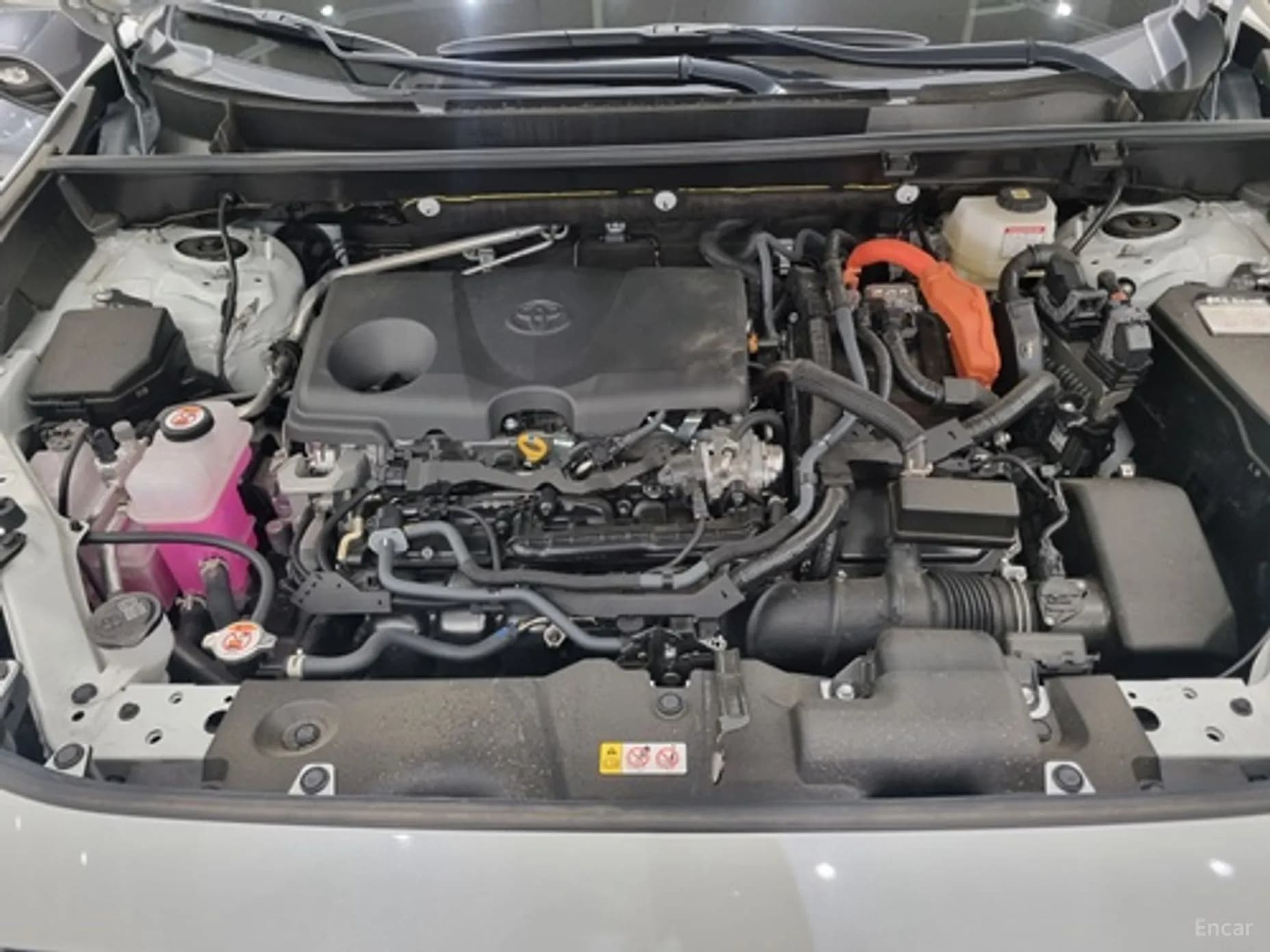 RAV4 5th Generation