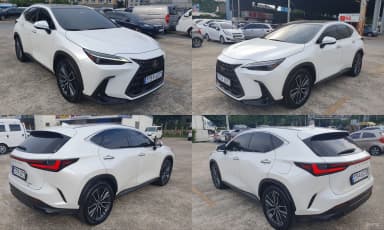 NX350h Gen 2