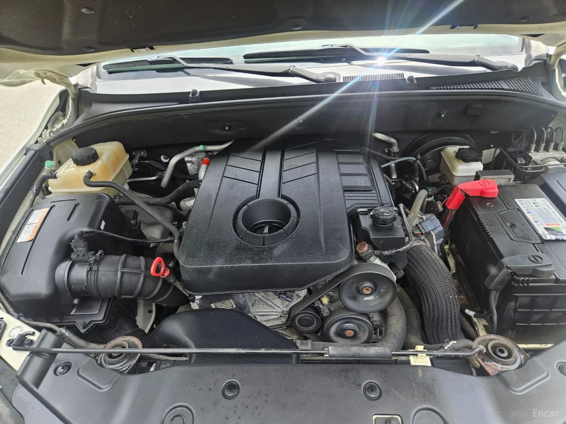 Korando Sports