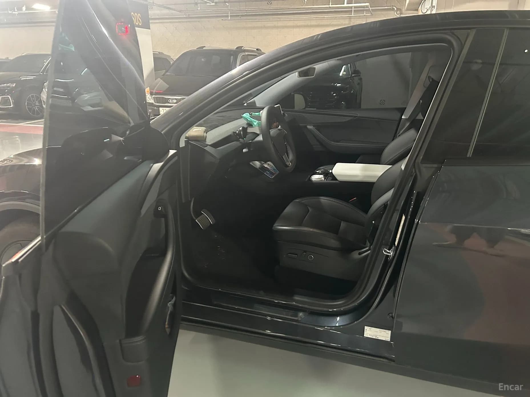 Model Y