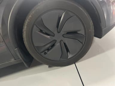 Model Y