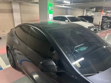 Model Y