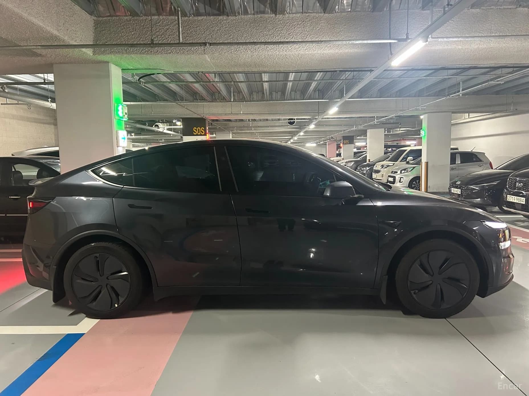 Model Y