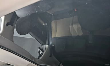 C4 Cocktooth