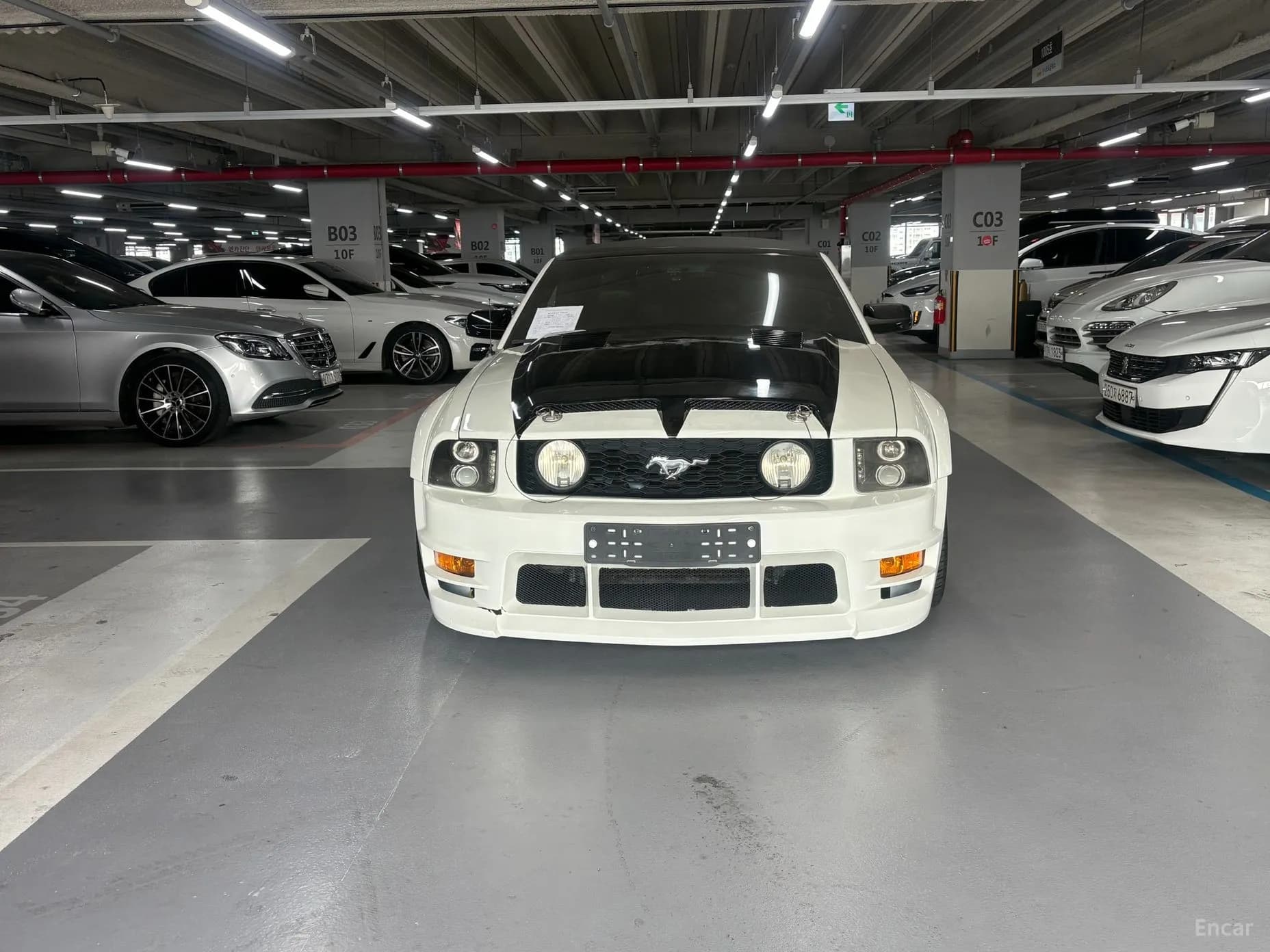 Mustang