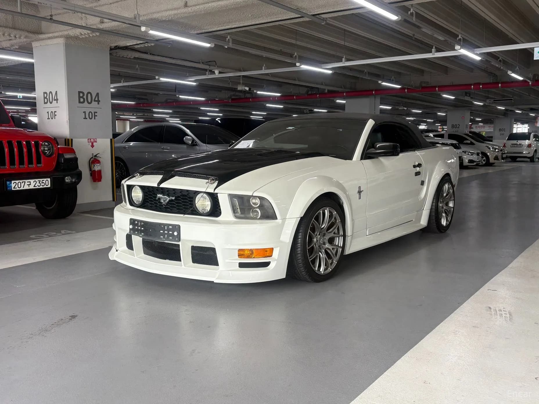 Mustang