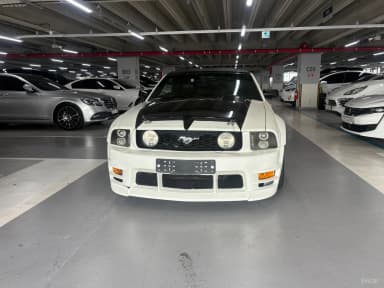 Mustang