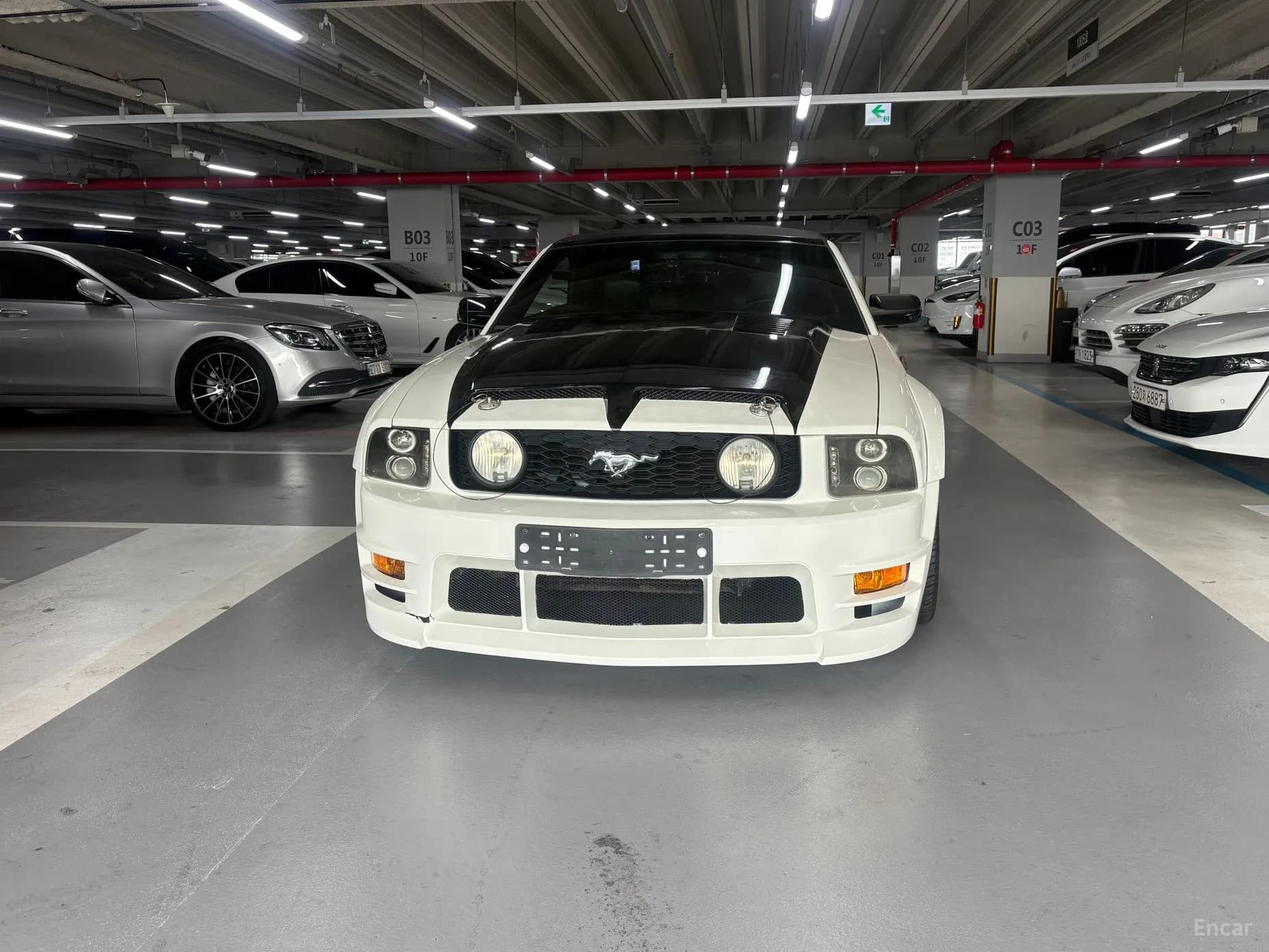 Mustang