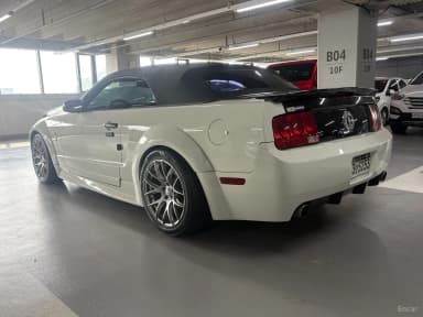 Mustang