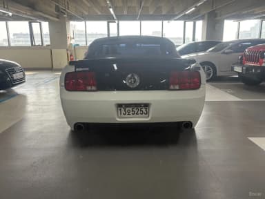 Mustang