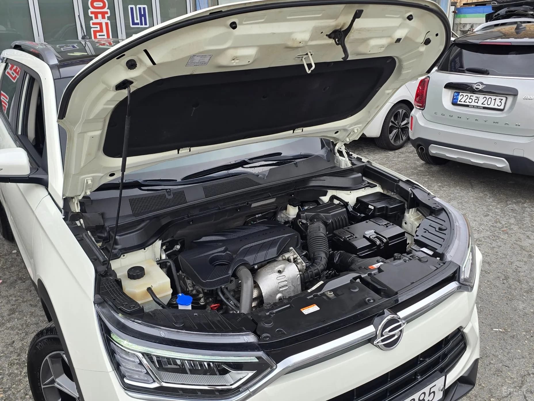 Beautiful Korando
