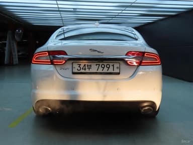 New XF