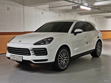 Cayenne (PO536)