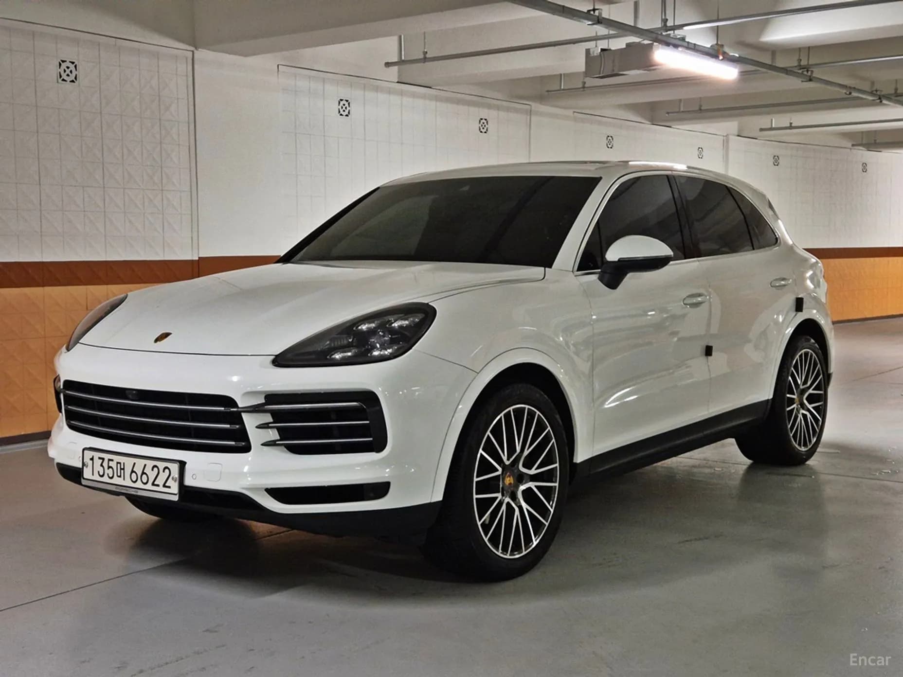 Cayenne (PO536)