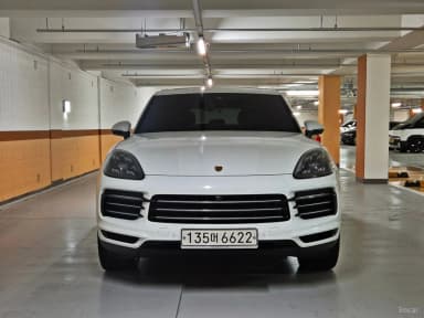 Cayenne (PO536)